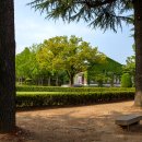 계명대학교(Keimyung University) 이미지