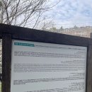 제주 도순리 녹나무 자생지 | 제주 2026.03.15