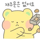 만나명품돼지