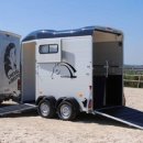 스타티앤비 이미지