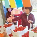 “이렇게 알찬데 무료라니”… 딸기수확·딸기커피·딸기비누 즐기는 3월 무료축제 이미지