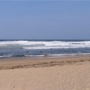 용인대학교 예술대학원 이미지