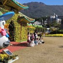 거제시농업개발원 이미지