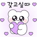 카카오 이미지