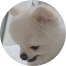 힙의 끝판왕! K-HIP 전통주점 '호랑실비' 한식실비집, 내돈내산 솔직후기! (feat. 이모 말고 삼촌카세)