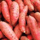 헬스보이짐필라걸홍대점 이미지