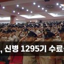 해병대 신병1295기 수료식(영상) 이미지