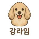 개린이 하우스 | 모던하우스 롯데몰 광교점 애견 동반 쇼핑 후기