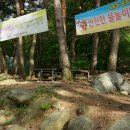 토옥동민박 네이버블로그
