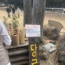 두지목장 | 제주여행 8. 서귀포 남원읍_ 말 목장 카페, 대한목장 방문 후기, 아이들 데리고 가기 좋은 말 농장.