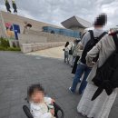 뱅크시네 | 대전 뱅크시 전시 아이랑 후기 / 고흐전 포기하고 갔는데 더 좋았던 날