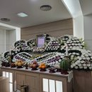 좋은강안병원장례식장 조용한 가족장 후기