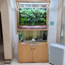 동탄이화유치원 이미지