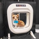 pet176나8690 이미지