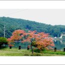 죽산중학교 이미지