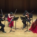 Haydn - String Quartet(현악4중주) in D Major, Op. 64 No. 5 "The Lark(종달새)" 이미지