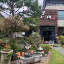 가을 숲으로 놀러가자 이미지