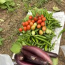 공세농장 이미지