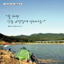난리나유