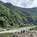 퍼니멍멍 이미지