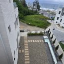 블랑37 | 강릉독채풀빌라 추천 사근진해변 바로 앞 블랑37 후기