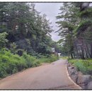 정선파인케어빌 이미지