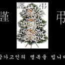 양지중앙약국 이미지