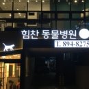 힘찬동물병원 이미지