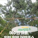 방죽포해수욕장(송림) 네이버블로그