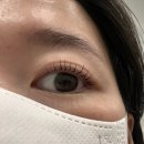 구월동 속눈썹펌 추천 지앤미 바짝케라틴펌 2회차 방문 후기