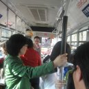 홍태양식당 이미지