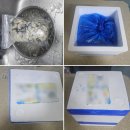 미소만찬밥상 | 통영 섬수산의 홍가리비 굴 택배 조합으로 찌는법과 굴회 맛있게 먹는방법 및 주문 후기