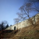 통상수교 거부 정책의 원인 | 2025년 고3 10월 모평 한국사 해설 및 분석