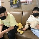 표선의원 이미지