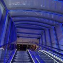 벌꿀모텔 이미지