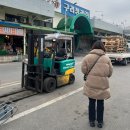 신선청과 이미지