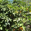 환의농장 이미지