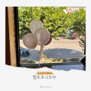 금천초등학교 | 청주파티풍선과 청주이벤트용품 맞춤제작, 헬로후니호야 방문기