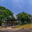 능주면사무소 이미지