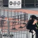 사운드스태프