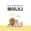 헤이나나