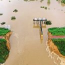 낙동강제방(3) 이미지