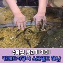 카페드윤 - 성남시 분당구 백현로144번길 29-1 | 수족관카페 카페드아쿠아 스타필드 하남