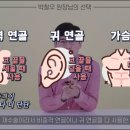 우아인성형외과의원 | 코성형 자가조직이란? 자가연골 · 무보형물 선택 기준 총정리