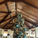 크림슨트리 | 크리스마스 시즌🎄 세부 크림슨리조트 내돈내산 솔직후기🪸🐠 - 조식, 가든룸, 룸서비스, Azure 비치클럽...