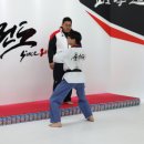 품태권도장 이미지