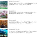 산바라기마을 이미지