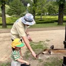 켄싱턴 수영장 이미지