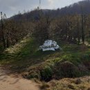 엄정면사무소 이미지