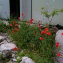 귀선농장 이미지